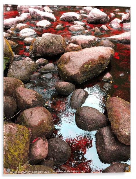 Rock Pools, Lake District Acrylic by Graham Lathbury
