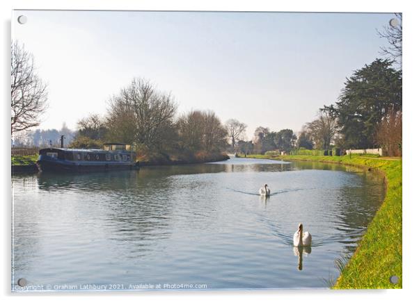 Swans on the Gloucester & Sharpness Canal, Frampton Acrylic by Graham Lathbury