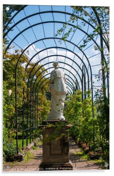 Trentham Gardens Statue Acrylic by Stuart Chard