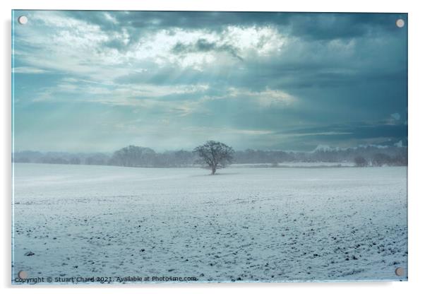 Lone tree in a snow covered landscape Acrylic by Stuart Chard
