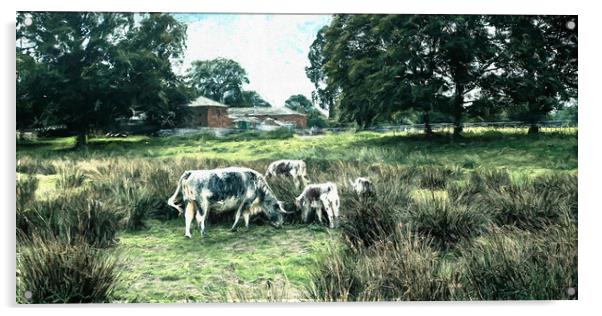 cattle in a farm field eating grass Acrylic by Stuart Chard