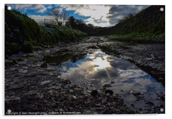 Reflection off of a puddle at Carn Marth Acrylic by Sam Plowright