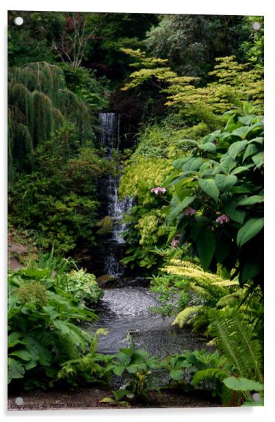 Waterfall at the Dorothy Clive Garden near Woore Acrylic by Peter Wiseman