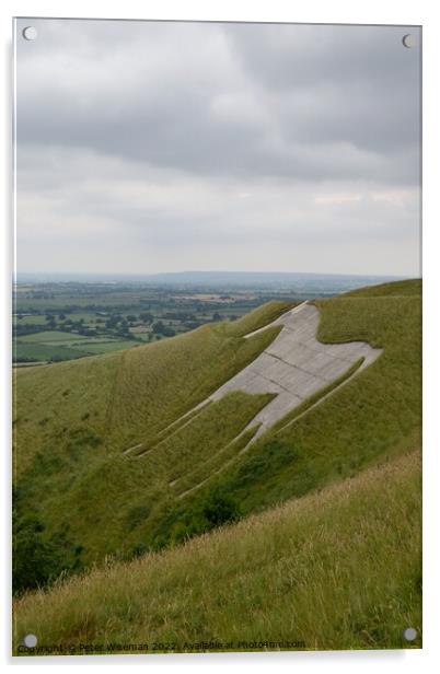 The Westbury white horse Acrylic by Peter Wiseman