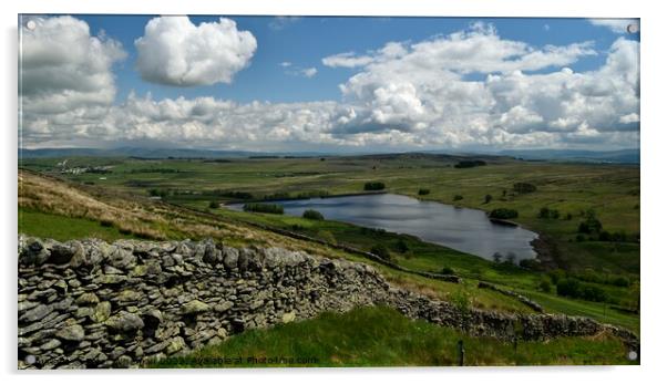 View over Wet Sleddale Reservoir Acrylic by Peter Wiseman