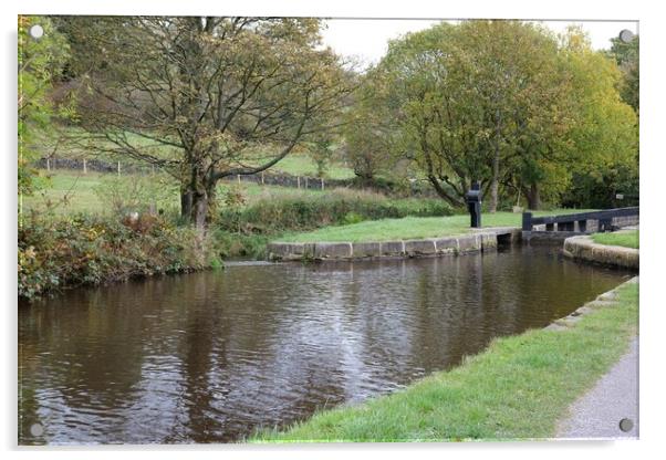 Canal lock in autumn Acrylic by Roy Hinchliffe