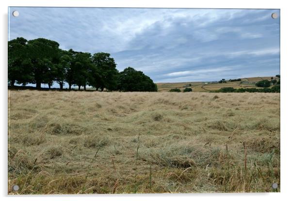 Yorkshire hay field  Acrylic by Roy Hinchliffe