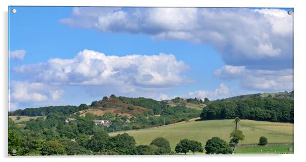 Yorkshire country view Acrylic by Roy Hinchliffe