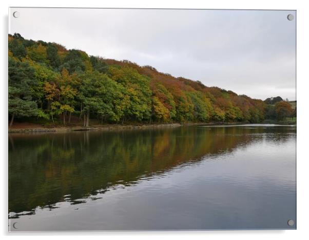 Autumn colours reflections Huddersfield Acrylic by Roy Hinchliffe