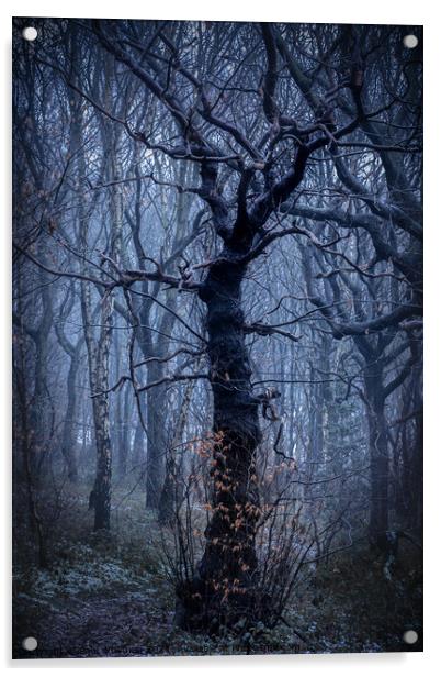 Mystical tree Acrylic by Paul Whyman