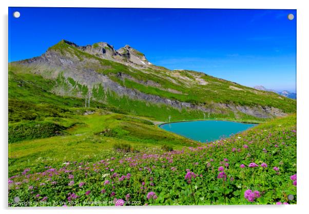 Landscape of mountains of Alps in summer with flowers and a lake in Portes du Soleil, France, Europe Acrylic by Chun Ju Wu
