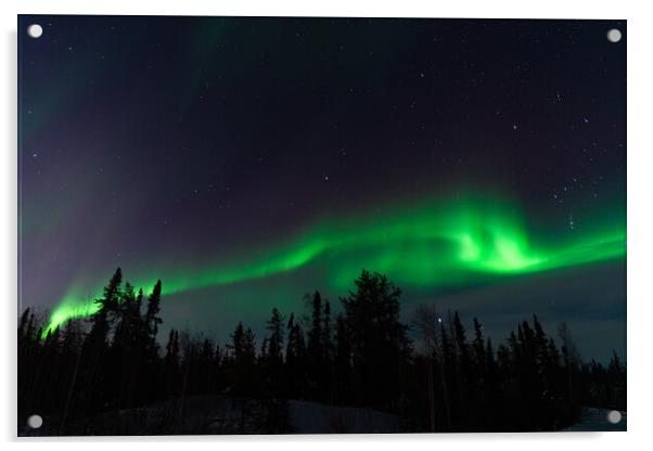 Aurora Borealis, Northern Lights, at Yellowknife, Northwest Territories, Canada Acrylic by Chun Ju Wu