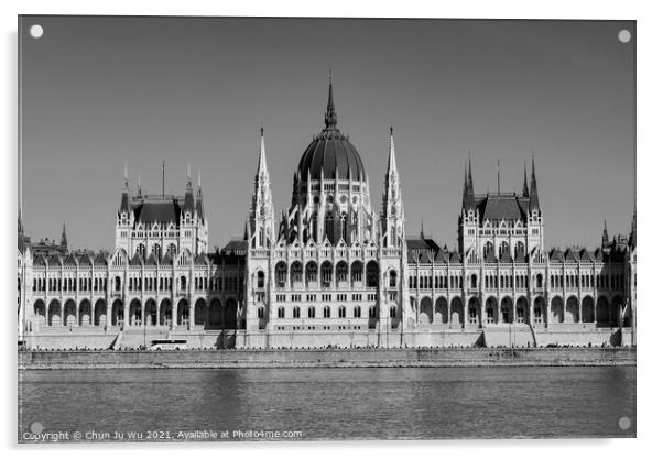 Hungarian Parliament Building on the banks of the Danube, Budape (black & white) Acrylic by Chun Ju Wu