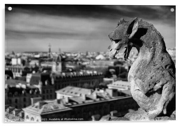 The Gargoyles of Notre Dame Cathedral overlooking Paris, France (black & white) Acrylic by Chun Ju Wu