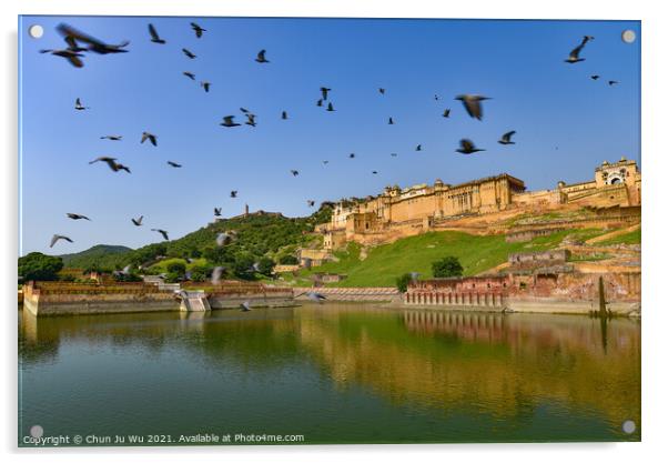 A flock of birds flying in front of Amer Fort in Jaipur, India Acrylic by Chun Ju Wu
