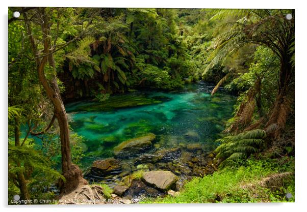 Blue Spring along Te Waihou Walkway in Hamilton, Waikato, New Zealand Acrylic by Chun Ju Wu