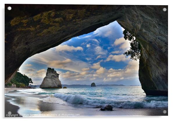 Cathedral Cove in Coromandel, New Zealand Acrylic by Chun Ju Wu