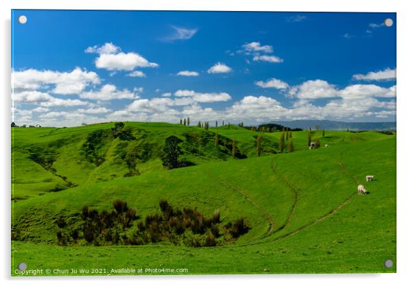 Green hills with sheep and blue sky in New Zealand Acrylic by Chun Ju Wu