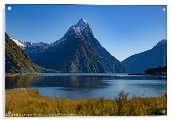 Milford Sound at Fiordland National Park in New Zealand Acrylic by Chun Ju Wu