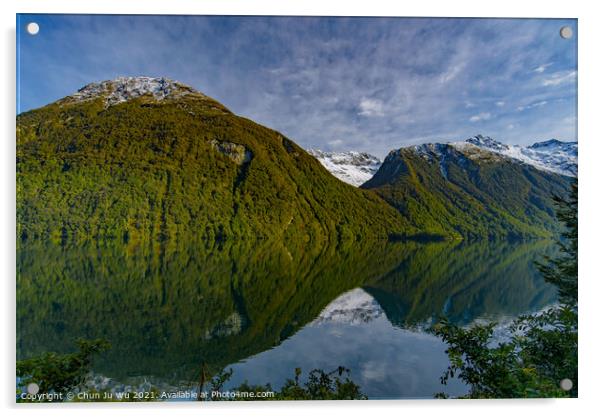 Lake Gunn at Fiordland National Park in New Zealand Acrylic by Chun Ju Wu