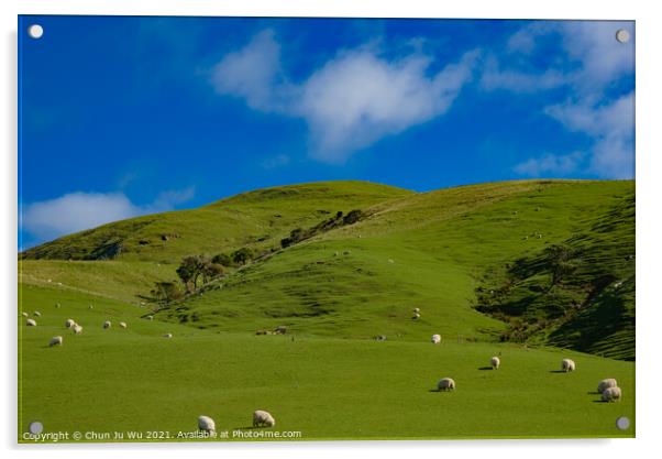 A herd of sheep grazing on a lush green field in New Zealand Acrylic by Chun Ju Wu