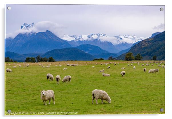 A herd of sheep grazing on a lush green field in New Zealand Acrylic by Chun Ju Wu