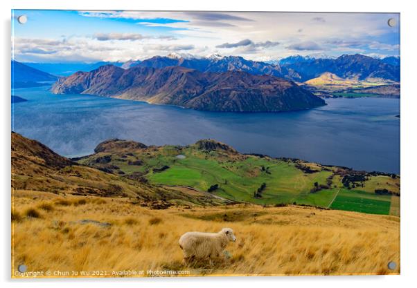 View of Lake Wanaka with a sheep on hill, South Island, New Zealand Acrylic by Chun Ju Wu