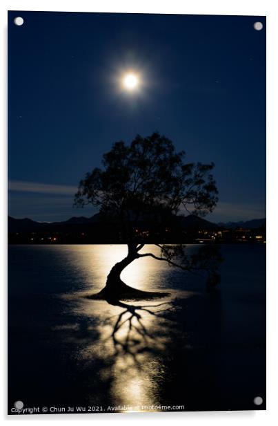 Night view of Wanaka tree and Lake Wanaka in moonlight, New Zealand Acrylic by Chun Ju Wu