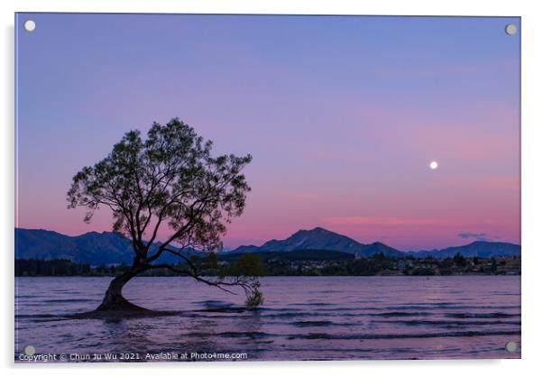 Sunset view of Wanaka tree and Lake Wanaka, New Zealand Acrylic by Chun Ju Wu