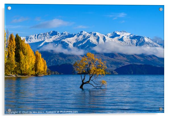 Wanaka tree and Lake Wanaka in autumn, New Zealand Acrylic by Chun Ju Wu
