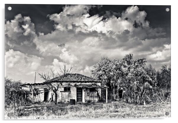 Old Derelict Building Acrylic by Nic Croad