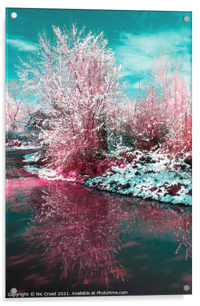 Snow covered tree reflected in water Acrylic by Nic Croad