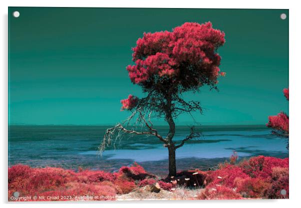 Pine tree by the sea - Colour Infrared Acrylic by Nic Croad