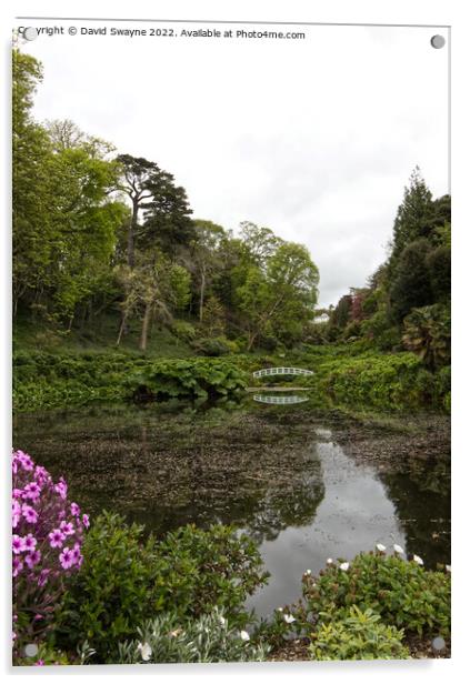 Reflections at Trebah Acrylic by David Swayne