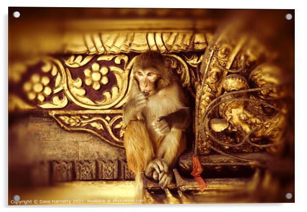 Assamese Monkey Acrylic by Dave Harnetty