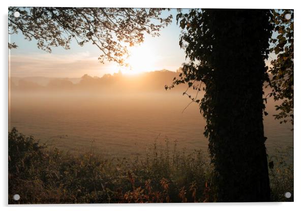 A picture of a misty sunrise Dumfries Scotland Acrylic by christian maltby