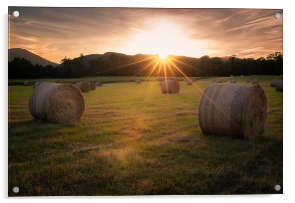 Make hay while the sunshine's Acrylic by christian maltby