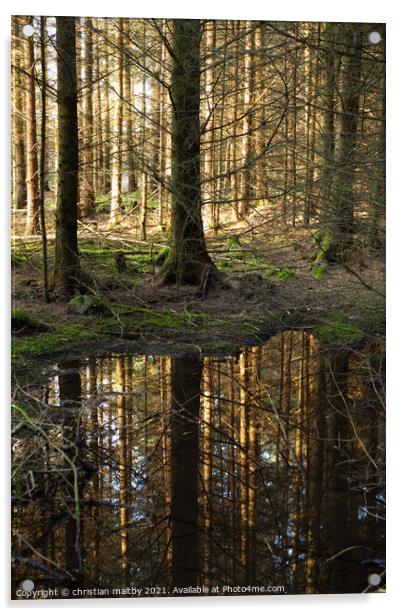 Forest refection's Acrylic by christian maltby