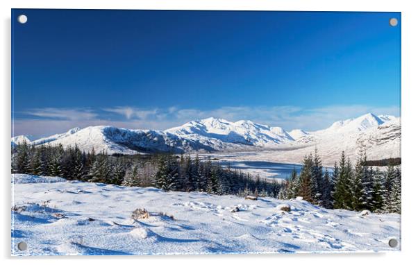 Snowy Highlands Acrylic by Frank Farrell