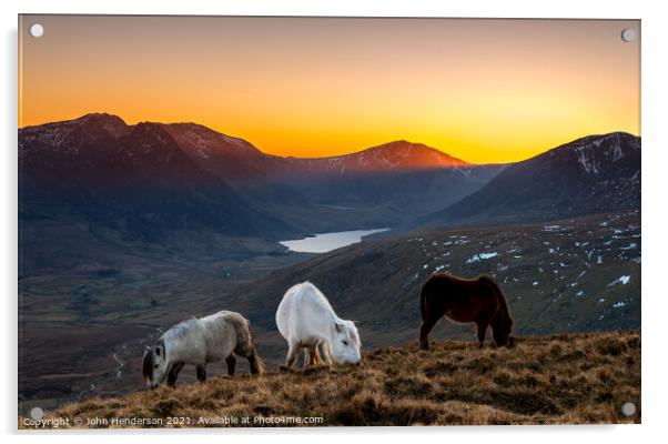 Snowdonia ponies Acrylic by John Henderson