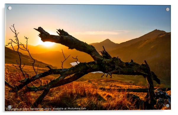 Sunset tree Acrylic by John Henderson