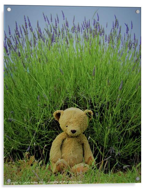 Lavender Teddy Acrylic by Laura Haley