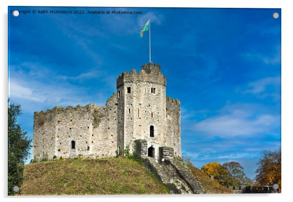 Cardiff Castle Acrylic by Keith McManus