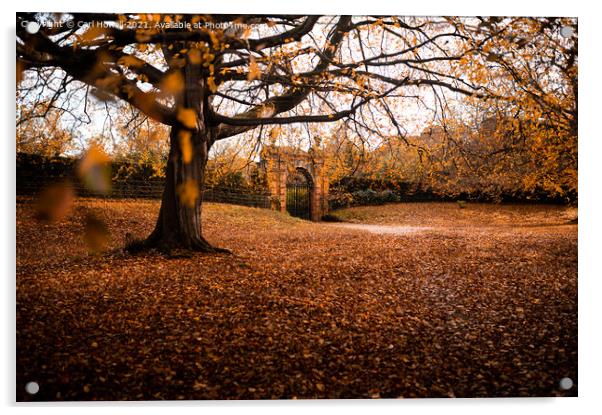 Sandringham at Autumn Acrylic by Carl Howell