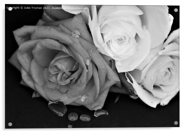 Roses with water droplets in monochrome Acrylic by Jules D Truman
