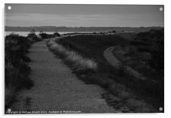 Sea view footpath at brightlingsea Acrylic by Michael bryant Tiptopimage