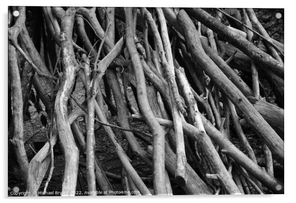 Stacked branches  Acrylic by Michael bryant Tiptopimage