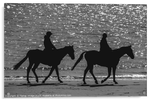 Horses on the beach Acrylic by Michael bryant Tiptopimage