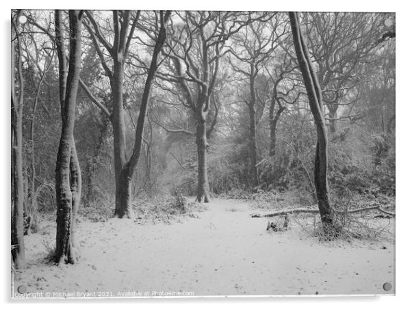 snow in pudsey forest in clacton Acrylic by Michael bryant Tiptopimage