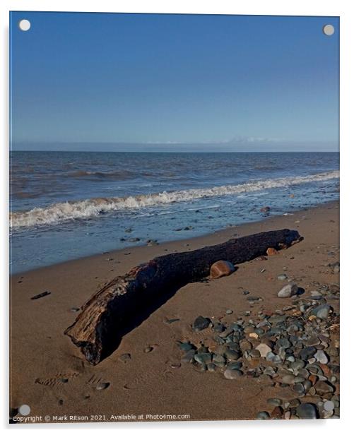 Driftwood Beachcomber Acrylic by Mark Ritson